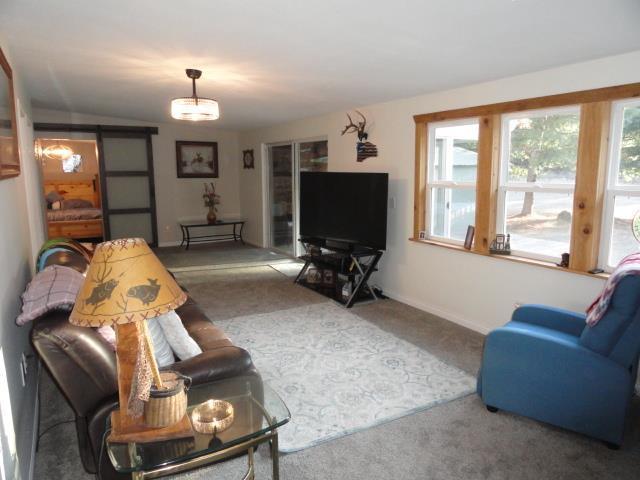carpeted living area featuring baseboards and a barn door