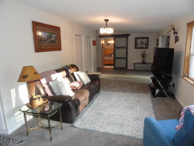 living area with baseboards and carpet flooring