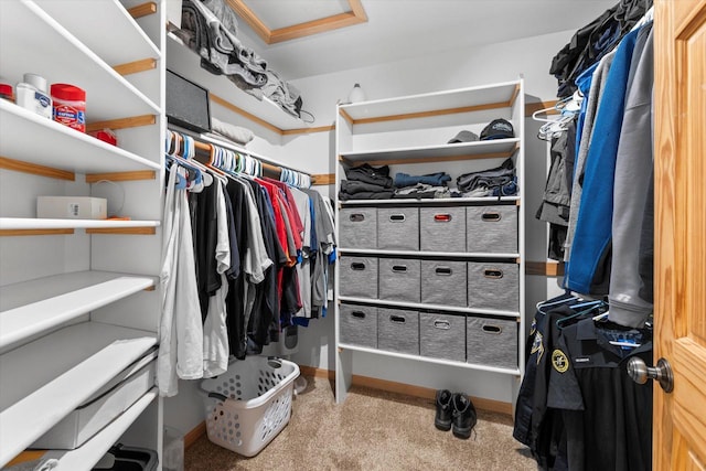 1646 N Friess Lake Dr, Hubertus, WI 53033 - walk in closet with carpet and attic access