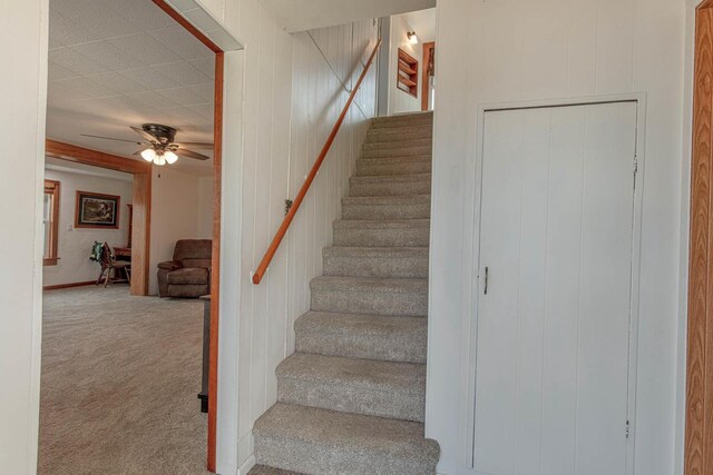 1943 State Road 11, South Wayne, WI 53587 - stairs with a ceiling fan and carpet flooring