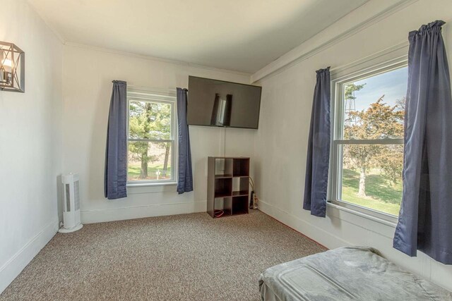 1943 State Road 11, South Wayne, WI 53587 - carpeted bedroom featuring ornamental molding