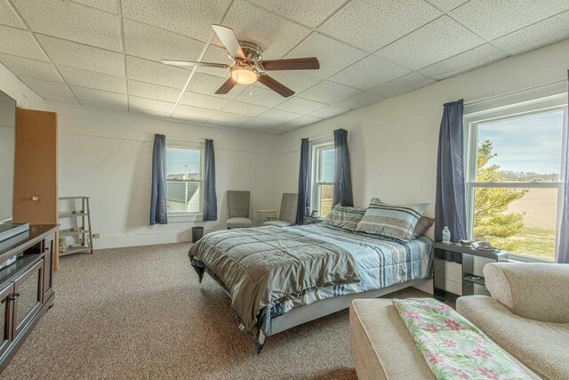 1943 State Road 11, South Wayne, WI 53587 - carpeted bedroom with ceiling fan, multiple windows, and a drop ceiling
