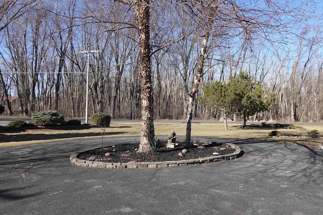 N8891 Gladstone Beach Rd, Fond Du Lac, WI 54937 - view of home's community with curved driveway