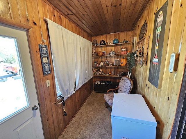 233 Highland St, Belmont, WI 53510 - office with wooden ceiling, carpet, and wooden walls