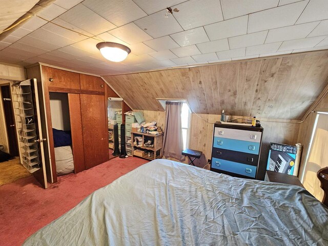 233 Highland St, Belmont, WI 53510 - bedroom with lofted ceiling, wood walls, and carpet