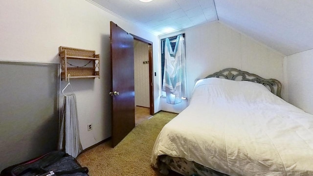 233 Highland St, Belmont, WI 53510 - carpeted bedroom with lofted ceiling