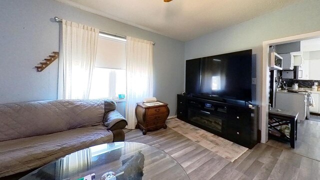 233 Highland St, Belmont, WI 53510 - living area with vaulted ceiling and light wood finished floors