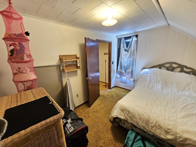 233 Highland St, Belmont, WI 53510 - bedroom with lofted ceiling and light carpet