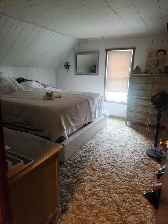 233 Highland St, Belmont, WI 53510 - carpeted bedroom with vaulted ceiling