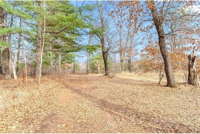 8375 N Bass Lake Rd, Danbury, WI 54830 - view of landscape