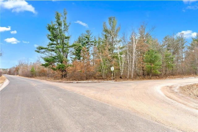 8375 N Bass Lake Rd, Danbury, WI 54830 - view of road