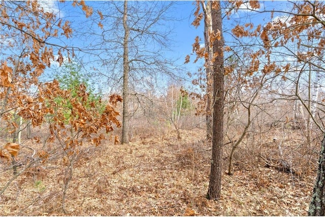 8375 N Bass Lake Rd, Danbury, WI 54830 - view of local wilderness