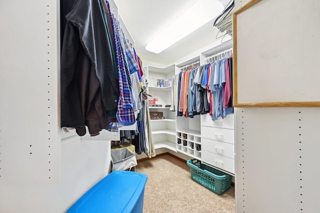 view of walk in closet