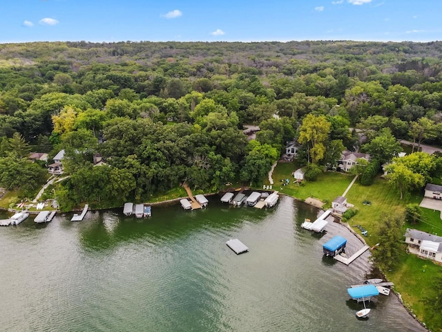 W1260 S Shore Dr, Palmyra, WI 53156 - birds eye view of property featuring a water view and a forest view