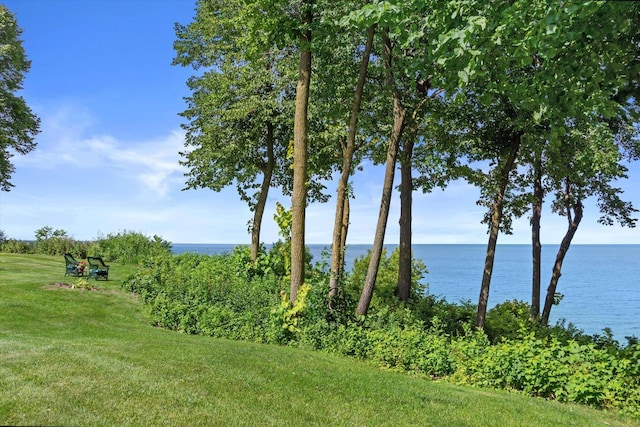 4696 N Lake Dr, Whitefish Bay, WI 53211 - view of water feature