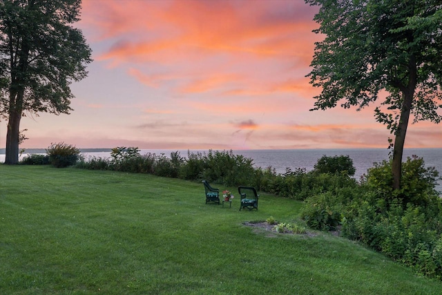 4696 N Lake Dr, Whitefish Bay, WI 53211 - view of yard with a water view