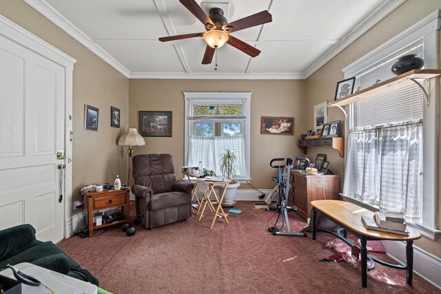 721 N St, Lake Geneva, WI 53147 - home office featuring baseboards, carpet floors, ornamental molding, and ceiling fan