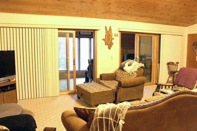 1885 20th Ave, Arkdale, WI 54613 - living area with carpet floors, wooden ceiling, and lofted ceiling