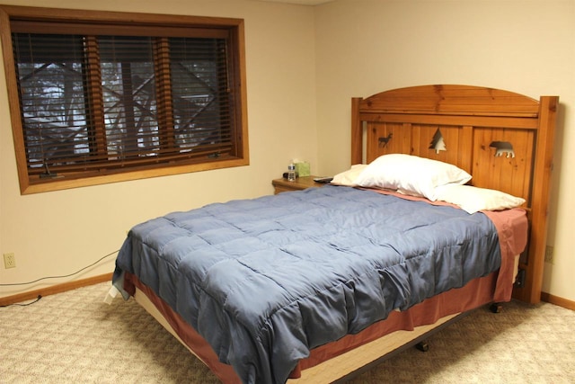 1885 20th Ave, Arkdale, WI 54613 - bedroom with carpet floors and baseboards