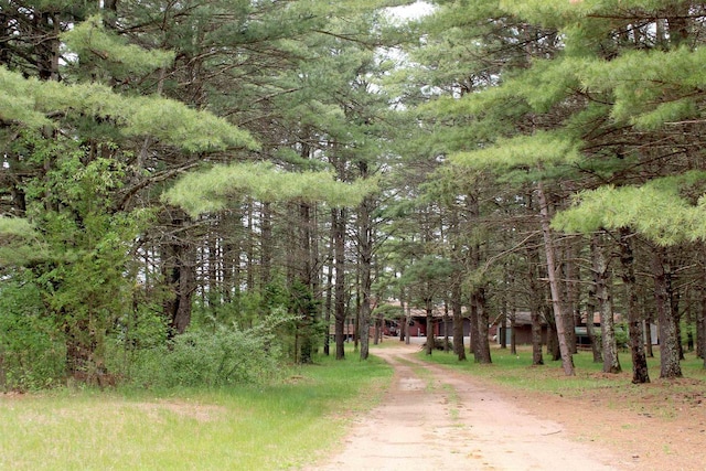 1885 20th Ave, Arkdale, WI 54613 - view of dirt / gravel driveway