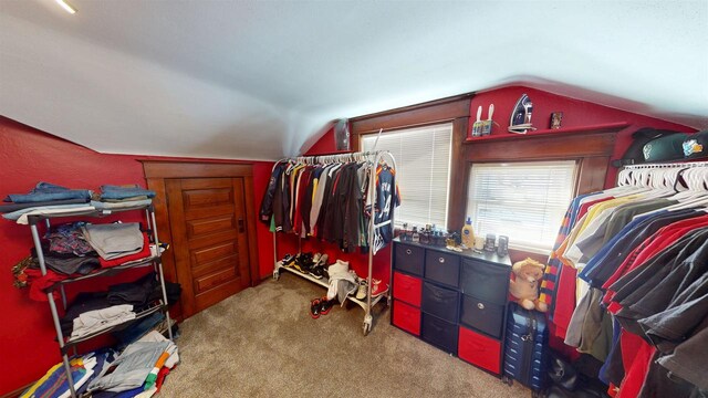 813 Main St, Black River Falls, WI 54615 - walk in closet with lofted ceiling and carpet floors