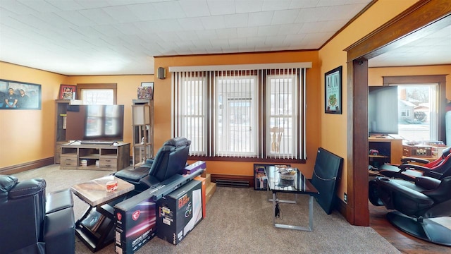 813 Main St, Black River Falls, WI 54615 - living area with baseboards, carpet floors, and ornamental molding