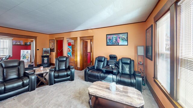 813 Main St, Black River Falls, WI 54615 - living area with carpet flooring, crown molding, and baseboards