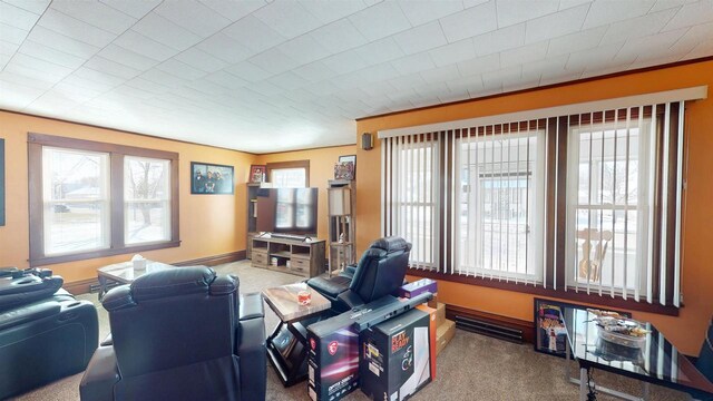 813 Main St, Black River Falls, WI 54615 - living area featuring carpet and baseboards