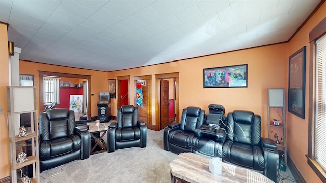 813 Main St, Black River Falls, WI 54615 - home theater with carpet flooring and baseboards