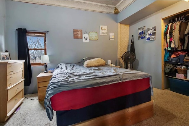 905 Lewis Ave, Cameron, WI 54822 - bedroom with a closet and light colored carpet
