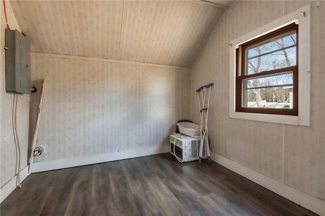 905 Lewis Ave, Cameron, WI 54822 - unfurnished room featuring electric panel, baseboards, vaulted ceiling, and wood finished floors