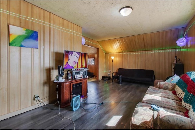 905 Lewis Ave, Cameron, WI 54822 - living area featuring wooden walls and dark wood finished floors