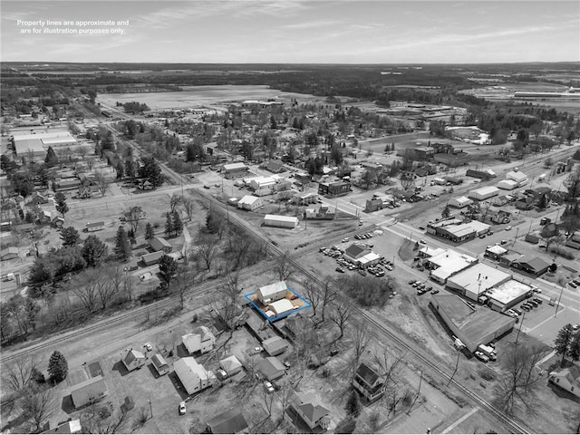 905 Lewis Ave, Cameron, WI 54822 - drone / aerial view