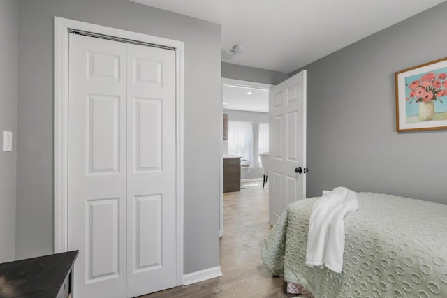 33110 Store St, Burlington, WI 53105 - bedroom with baseboards, a closet, and wood finished floors