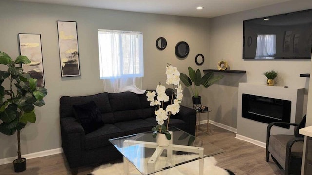 33110 Store St, Burlington, WI 53105 - living room with baseboards, wood finished floors, and recessed lighting