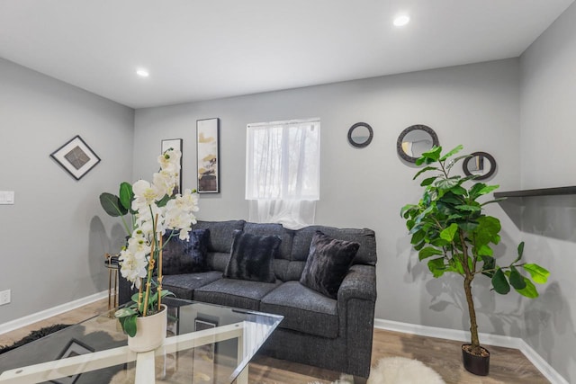 33110 Store St, Burlington, WI 53105 - living room featuring baseboards, wood finished floors, and recessed lighting