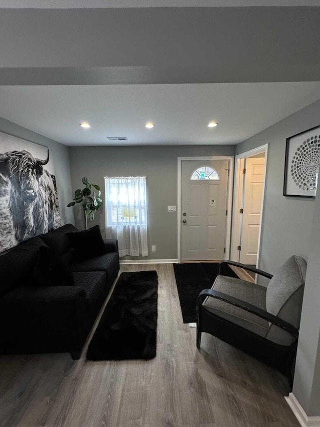 33110 Store St, Burlington, WI 53105 - living room featuring baseboards, visible vents, wood finished floors, and recessed lighting