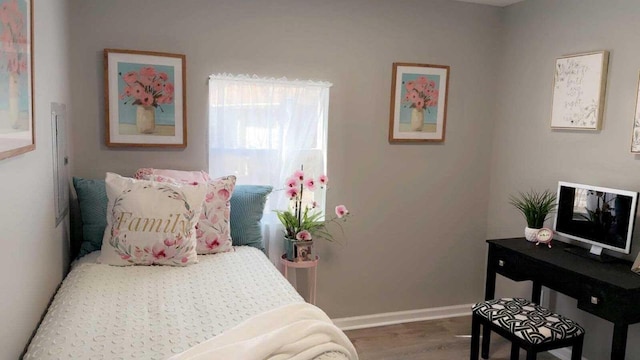 33110 Store St, Burlington, WI 53105 - bedroom with baseboards and wood finished floors