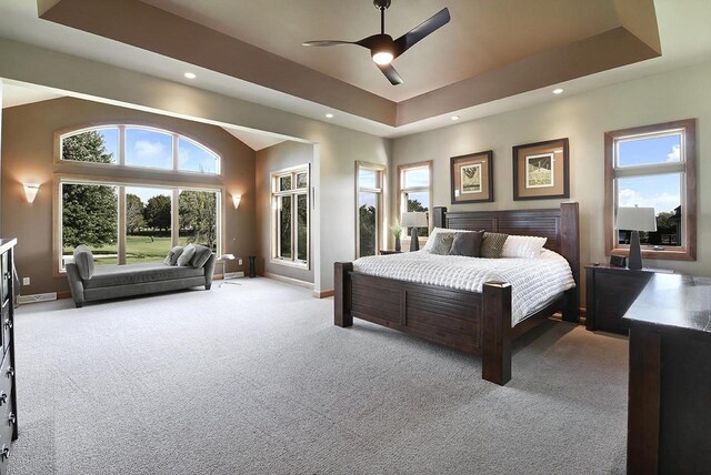7548 Fallen Oak Dr, Verona, WI 53593 - carpeted bedroom with baseboards, multiple windows, a tray ceiling, and recessed lighting