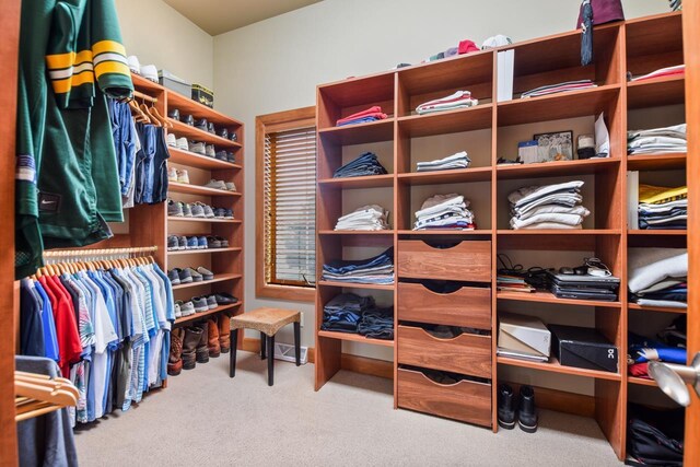 7548 Fallen Oak Dr, Verona, WI 53593 - spacious closet featuring carpet