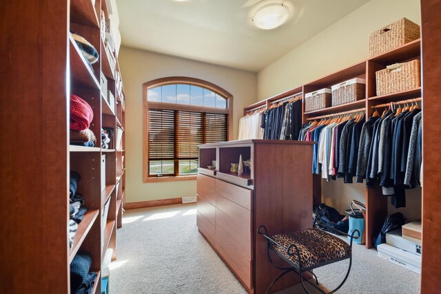 7548 Fallen Oak Dr, Verona, WI 53593 - walk in closet with light colored carpet