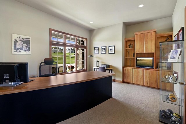 7548 Fallen Oak Dr, Verona, WI 53593 - office featuring baseboards, light colored carpet, and recessed lighting