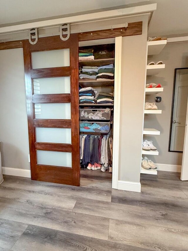 view of closet