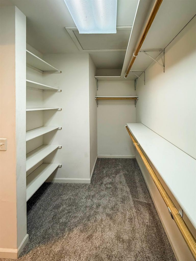 2208 W Milwaukee St, Stoughton, WI 53589 - walk in closet featuring dark carpet and attic access