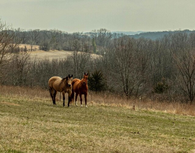 5995 Section Line Rd, Dodgeville, WI 53533 - view of stable featuring a rural view
