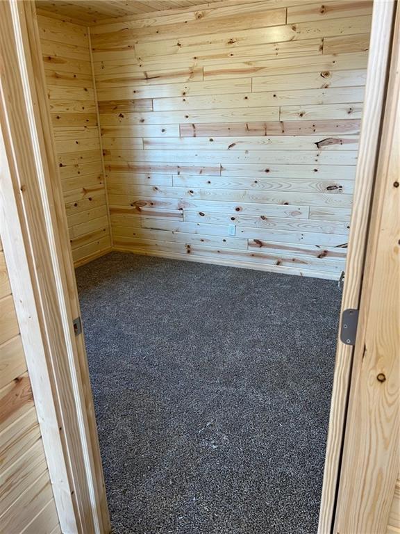 5830N Mutters Rd, Stone Lake, WI 54876 - unfurnished room featuring wooden walls and carpet floors