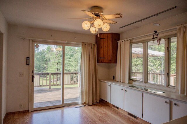 1930 Czech Ave, Arkdale, WI 54613 - kitchen with a wealth of natural light, white cabinetry, and light wood-style floors