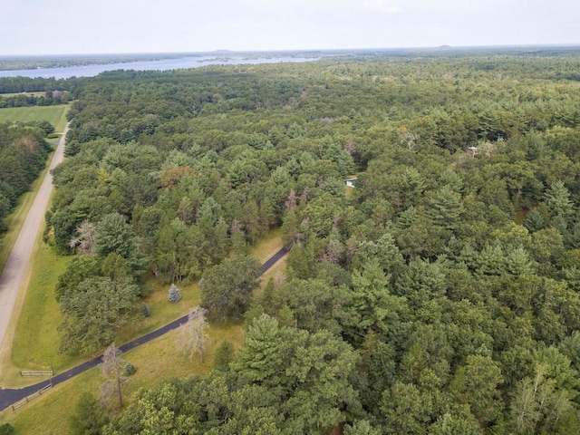 1930 Czech Ave, Arkdale, WI 54613 - birds eye view of property with a water view and a forest view