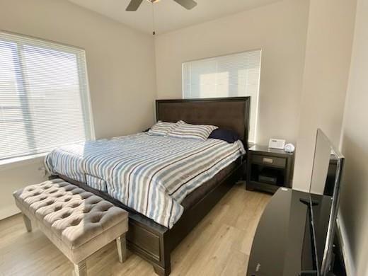 1501 N Windsor Ave Unit 205, Cottage Grove, WI 53527 - bedroom featuring light wood finished floors and ceiling fan