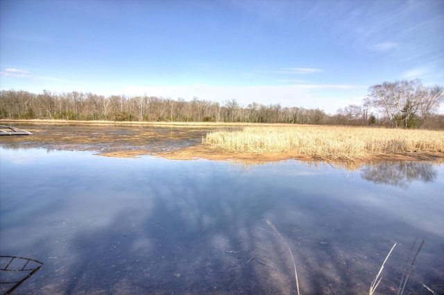 N16180 Deerfield Dr, Nekoosa, WI 54457 - property view of water